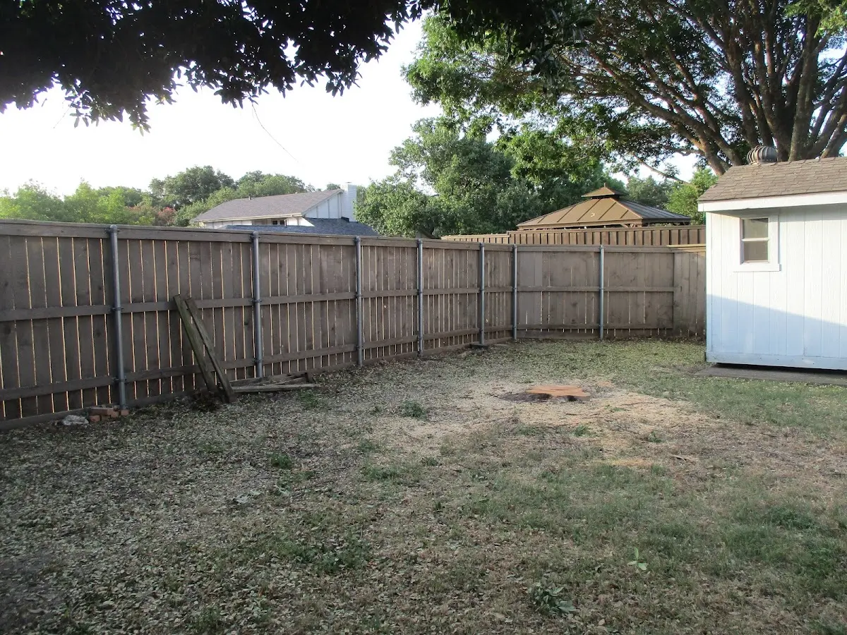 Cleared yard after professional tree removal in Iron River