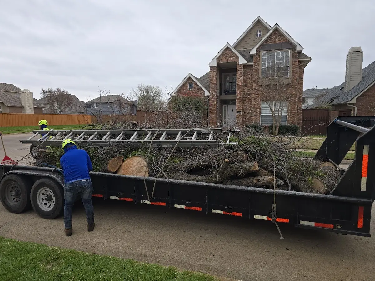 Expert Tree Pest Control with proper safety equipment in Iron River